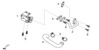 E07 - ΒΑΛΒΙΔΑ REED